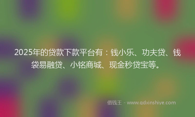 2025年的贷款下款平台有：钱小乐、功夫贷、钱袋易融贷、小铭商城、现金秒贷宝等。