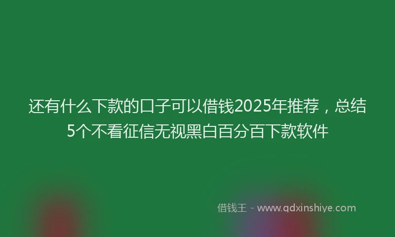 还有什么下款的口子可以借钱2025年推荐，总结5个不看征信无视黑白百分百下款软件
