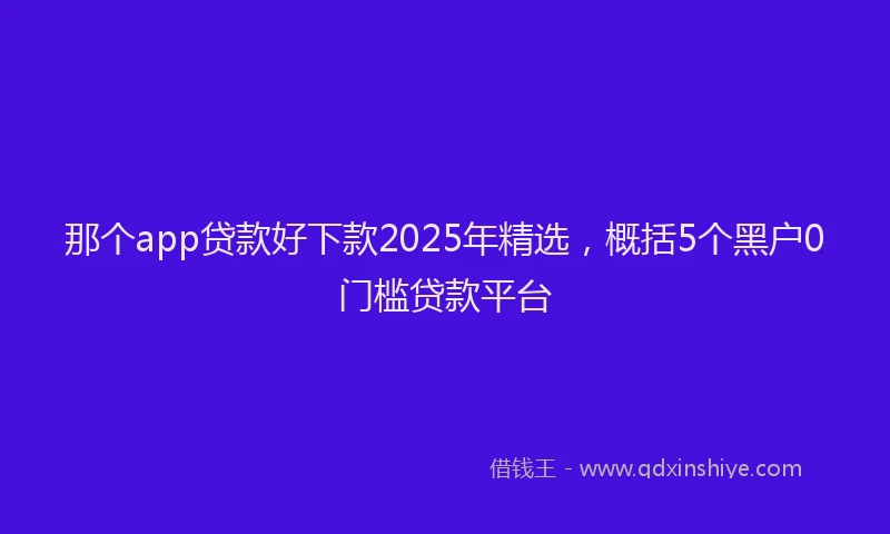 那个app贷款好下款2025年精选，概括5个黑户0门槛贷款平台