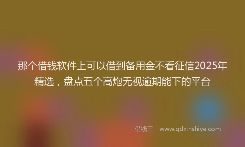 那个借钱软件上可以借到备用金不看征信2025年精选，盘点五个高炮无视逾期能下的平台