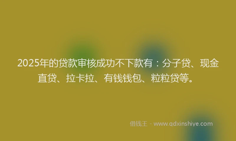2025年的贷款审核成功不下款有：分子贷、现金直贷、拉卡拉、有钱钱包、粒粒贷等。