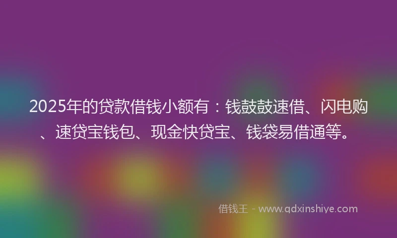 2025年的贷款借钱小额有：钱鼓鼓速借、闪电购、速贷宝钱包、现金快贷宝、钱袋易借通等。