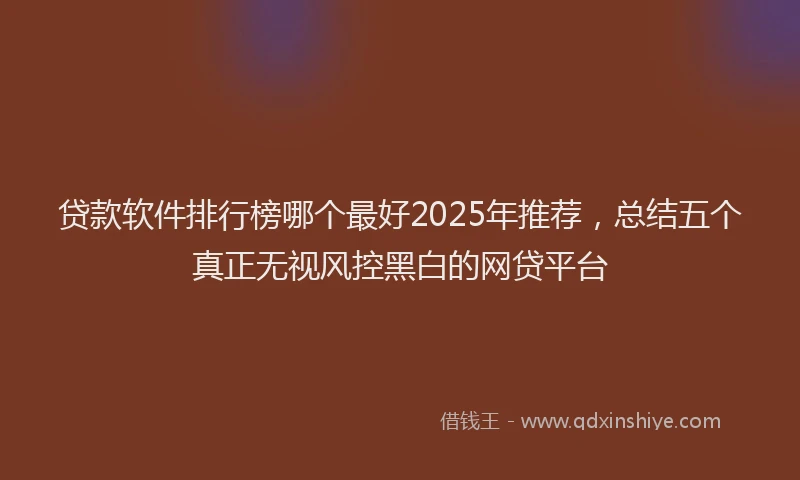 贷款软件排行榜哪个最好2025年推荐，总结五个真正无视风控黑白的网贷平台
