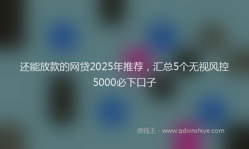 还能放款的网贷2025年推荐，汇总5个无视风控5000必下口子