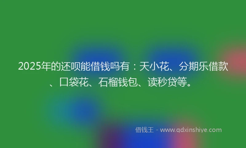 2025年的还呗能借钱吗有：天小花、分期乐借款、口袋花、石榴钱包、读秒贷等。