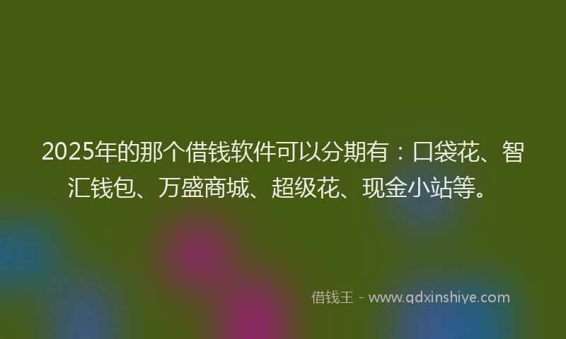 2025年的那个借钱软件可以分期有：口袋花、智汇钱包、万盛商城、超级花、现金小站等。