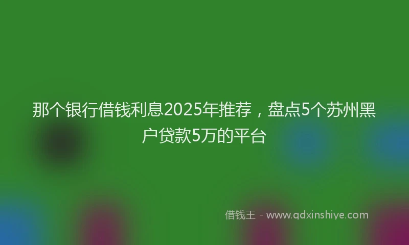 那个银行借钱利息2025年推荐，盘点5个苏州黑户贷款5万的平台