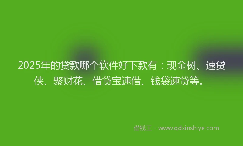 2025年的贷款哪个软件好下款有：现金树、速贷侠、聚财花、借贷宝速借、钱袋速贷等。