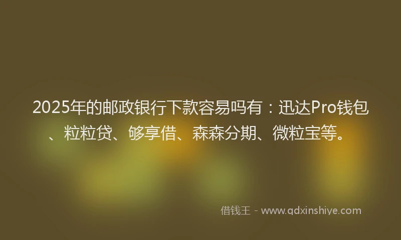 2025年的邮政银行下款容易吗有：迅达Pro钱包、粒粒贷、够享借、森森分期、微粒宝等。