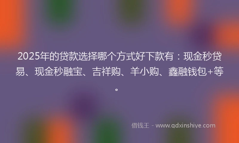 2025年的贷款选择哪个方式好下款有：现金秒贷易、现金秒融宝、吉祥购、羊小购、鑫融钱包+等。
