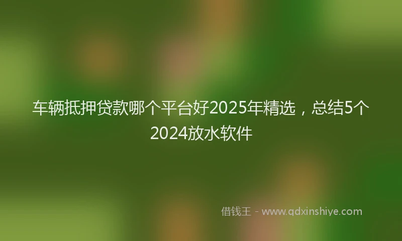 车辆抵押贷款哪个平台好2025年精选，总结5个2024放水软件