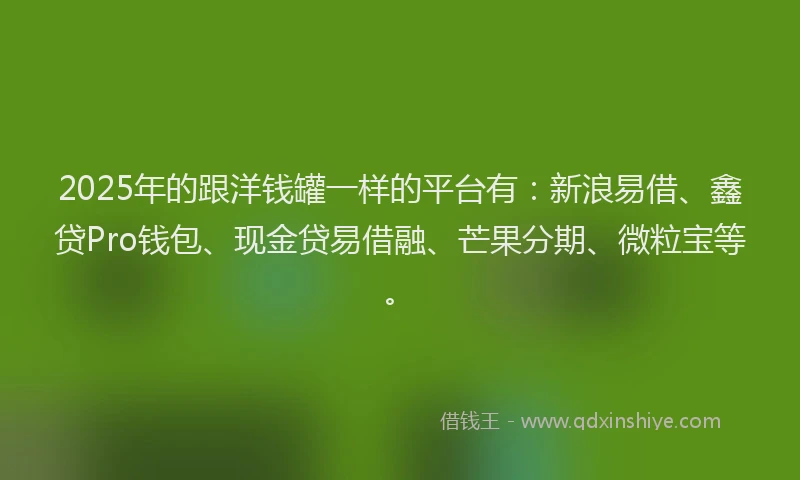 2025年的跟洋钱罐一样的平台有：新浪易借、鑫贷Pro钱包、现金贷易借融、芒果分期、微粒宝等。