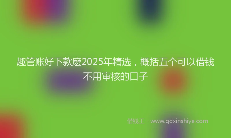 趣管账好下款麽2025年精选，概括五个可以借钱不用审核的口子
