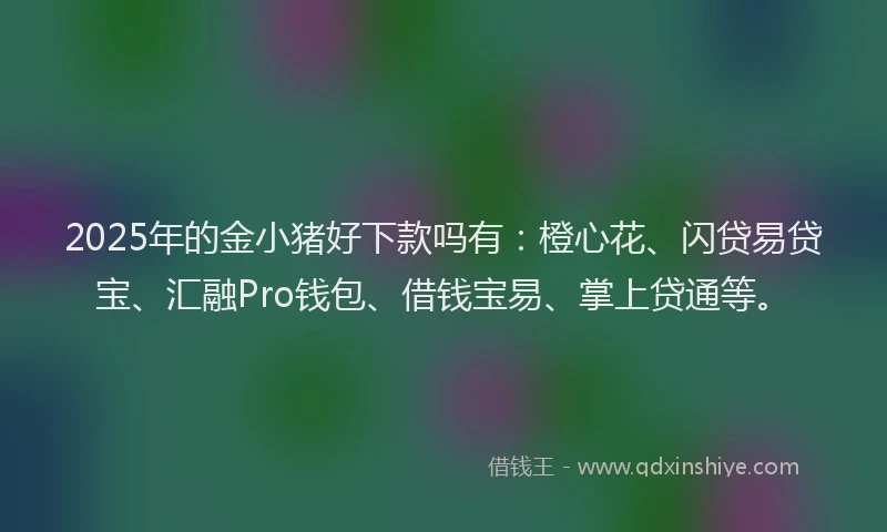 2025年的金小猪好下款吗有：橙心花、闪贷易贷宝、汇融Pro钱包、借钱宝易、掌上贷通等。