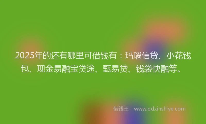 2025年的还有哪里可借钱有：玛瑙信贷、小花钱包、现金易融宝贷途、甄易贷、钱袋快融等。