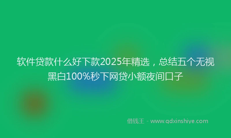 软件贷款什么好下款2025年精选，总结五个无视黑白100%秒下网贷小额夜间口子