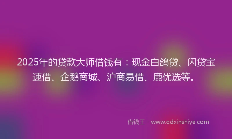 2025年的贷款大师借钱有：现金白鸽贷、闪贷宝速借、企鹅商城、沪商易借、鹿优选等。