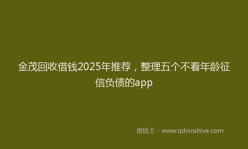 金茂回收借钱2025年推荐，整理五个不看年龄征信负债的app