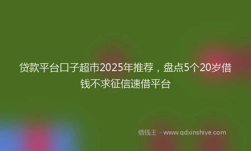 贷款平台口子超市2025年推荐，盘点5个20岁借钱不求征信速借平台