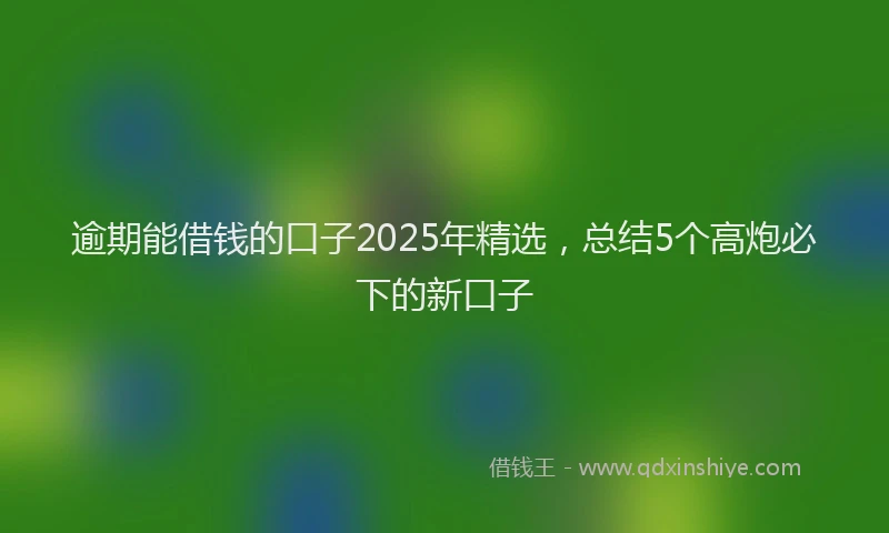 逾期能借钱的口子2025年精选，总结5个高炮必下的新口子