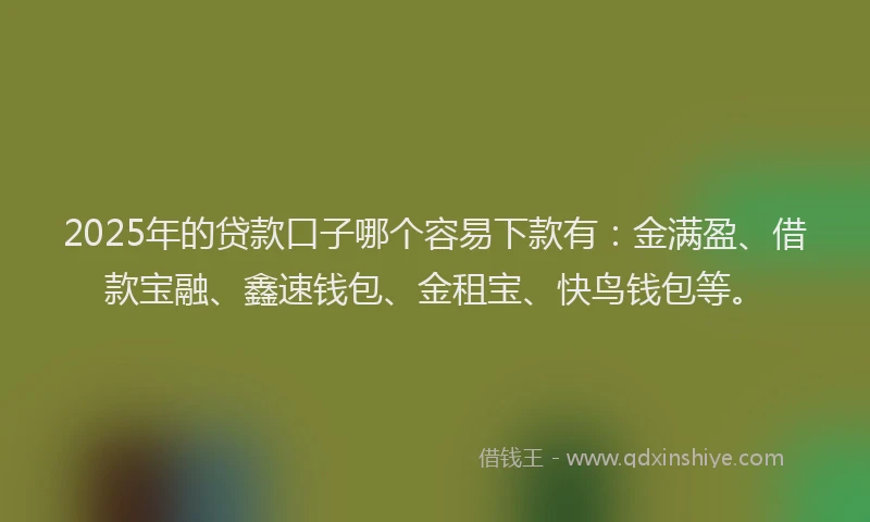2025年的贷款口子哪个容易下款有：金满盈、借款宝融、鑫速钱包、金租宝、快鸟钱包等。