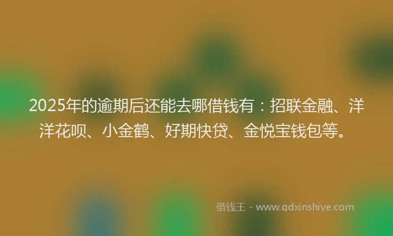 2025年的逾期后还能去哪借钱有：招联金融、洋洋花呗、小金鹤、好期快贷、金悦宝钱包等。