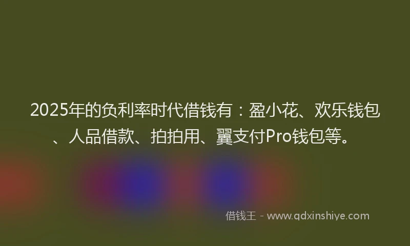 2025年的负利率时代借钱有：盈小花、欢乐钱包、人品借款、拍拍用、翼支付Pro钱包等。
