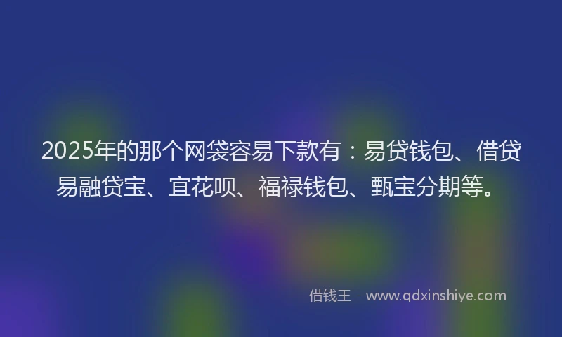 2025年的那个网袋容易下款有：易贷钱包、借贷易融贷宝、宜花呗、福禄钱包、甄宝分期等。