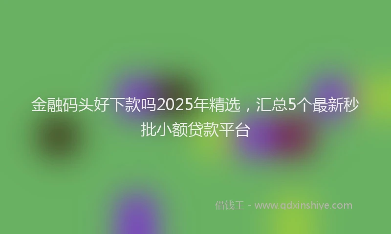 金融码头好下款吗2025年精选，汇总5个最新秒批小额贷款平台