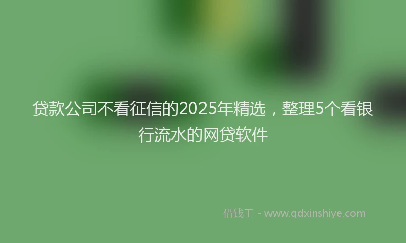 贷款公司不看征信的2025年精选，整理5个看银行流水的网贷软件