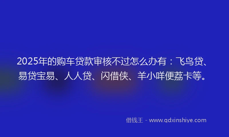 2025年的购车贷款审核不过怎么办有：飞鸟贷、易贷宝易、人人贷、闪借侠、羊小咩便荔卡等。