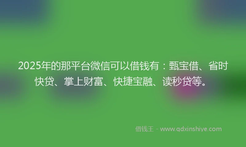 2025年的那平台微信可以借钱有：甄宝借、省时快贷、掌上财富、快捷宝融、读秒贷等。