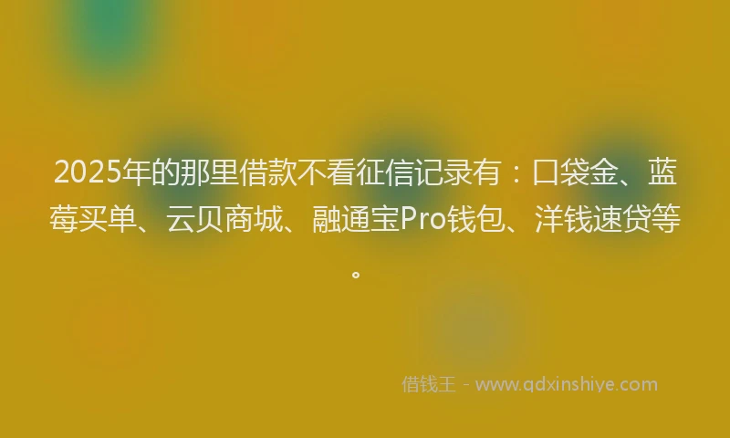2025年的那里借款不看征信记录有：口袋金、蓝莓买单、云贝商城、融通宝Pro钱包、洋钱速贷等。