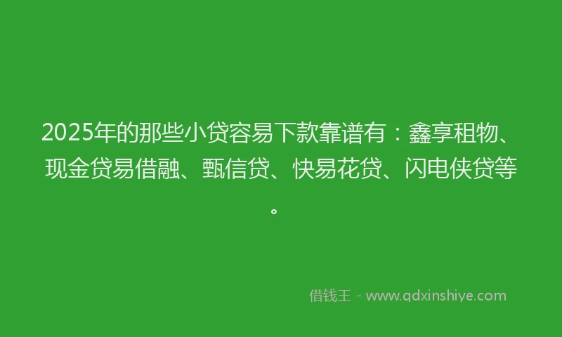 2025年的那些小贷容易下款靠谱有：鑫享租物、现金贷易借融、甄信贷、快易花贷、闪电侠贷等。