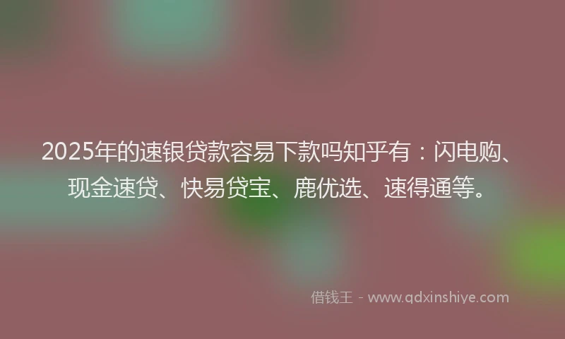 2025年的速银贷款容易下款吗知乎有：闪电购、现金速贷、快易贷宝、鹿优选、速得通等。