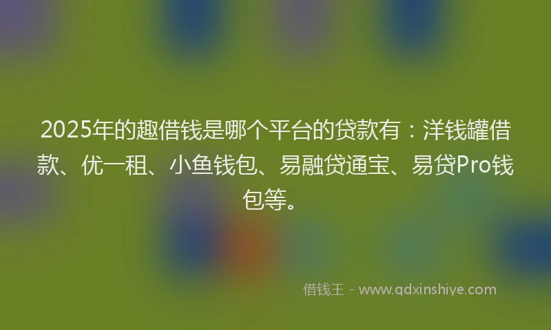 2025年的趣借钱是哪个平台的贷款有：洋钱罐借款、优一租、小鱼钱包、易融贷通宝、易贷Pro钱包等。