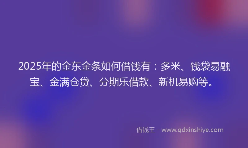 2025年的金东金条如何借钱有：多米、钱袋易融宝、金满仓贷、分期乐借款、新机易购等。