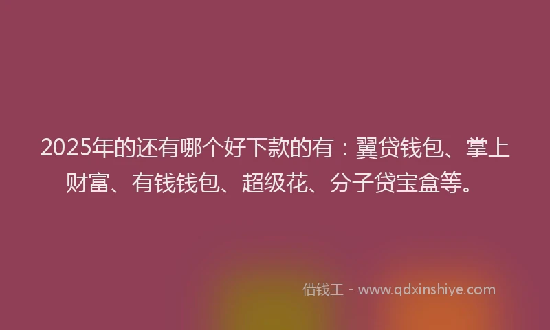 2025年的还有哪个好下款的有：翼贷钱包、掌上财富、有钱钱包、超级花、分子贷宝盒等。