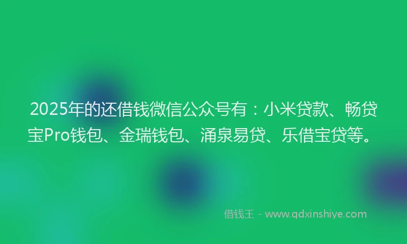 2025年的还借钱微信公众号有：小米贷款、畅贷宝Pro钱包、金瑞钱包、涌泉易贷、乐借宝贷等。