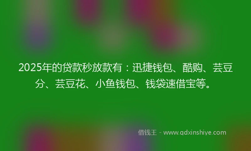 2025年的贷款秒放款有：迅捷钱包、酷购、芸豆分、芸豆花、小鱼钱包、钱袋速借宝等。