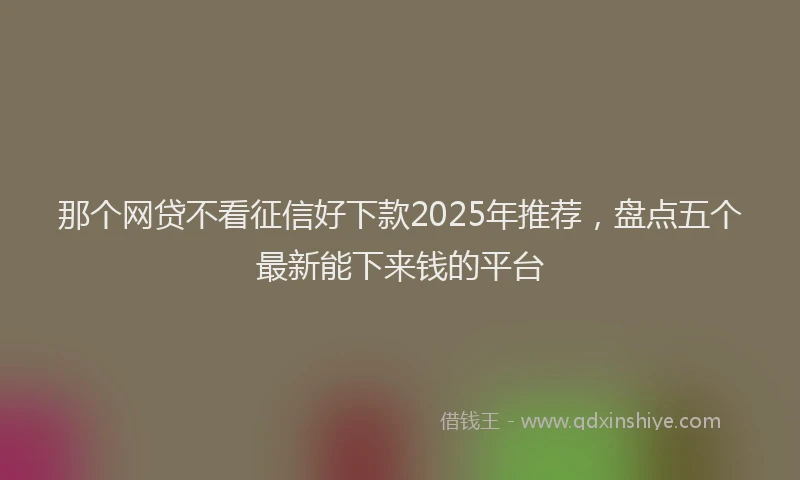 那个网贷不看征信好下款2025年推荐，盘点五个最新能下来钱的平台