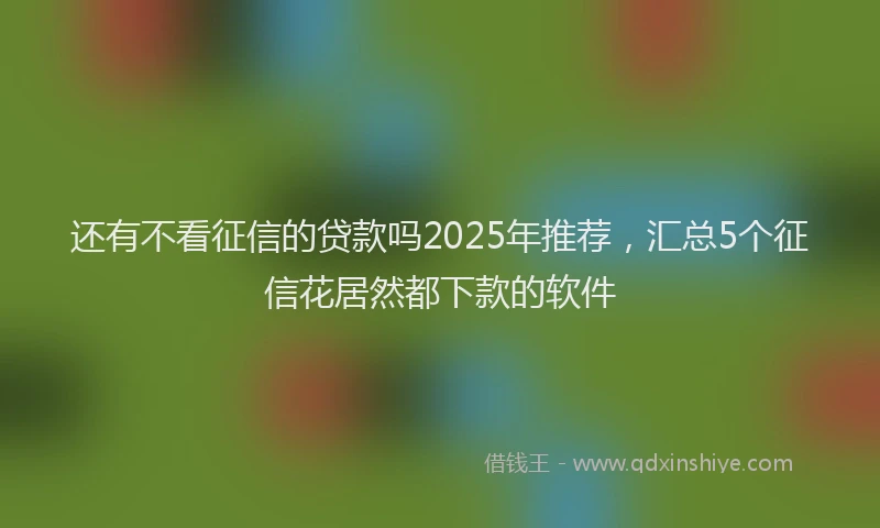 还有不看征信的贷款吗2025年推荐，汇总5个征信花居然都下款的软件