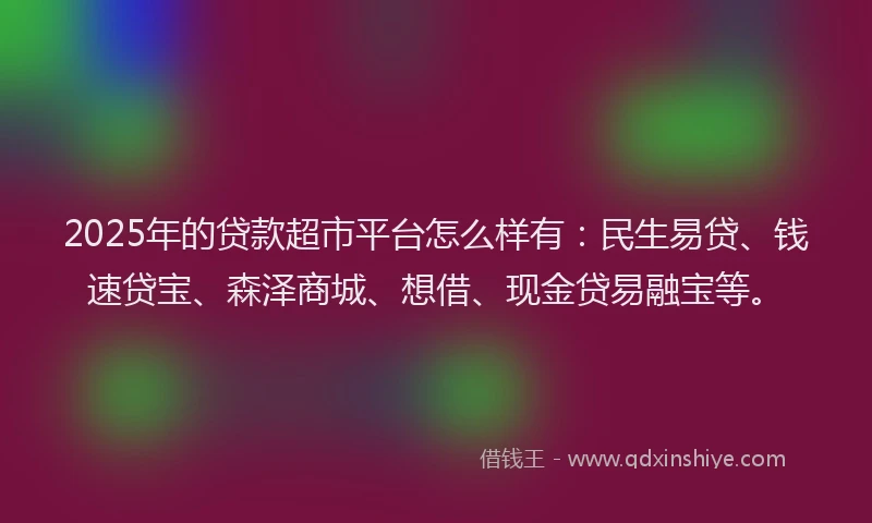 2025年的贷款超市平台怎么样有：民生易贷、钱速贷宝、森泽商城、想借、现金贷易融宝等。