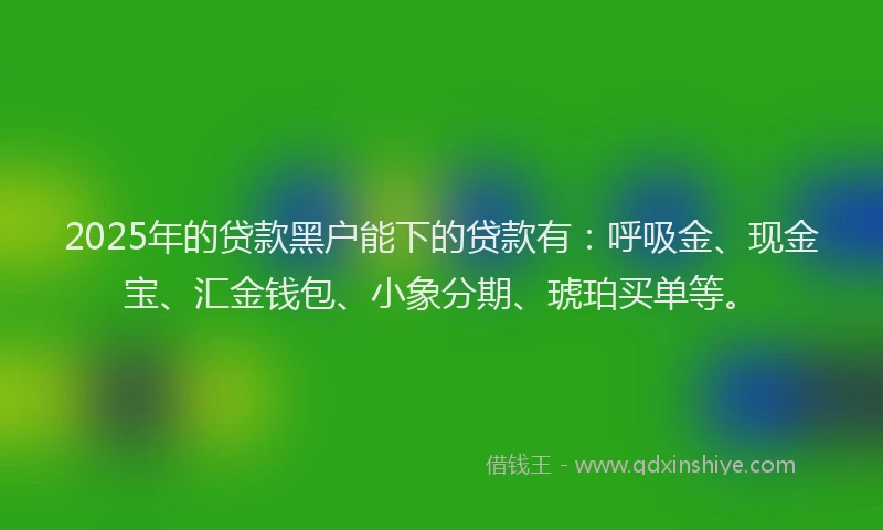 2025年的贷款黑户能下的贷款有：呼吸金、现金宝、汇金钱包、小象分期、琥珀买单等。