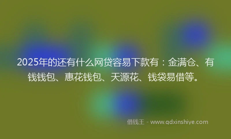 2025年的还有什么网贷容易下款有：金满仓、有钱钱包、惠花钱包、天源花、钱袋易借等。