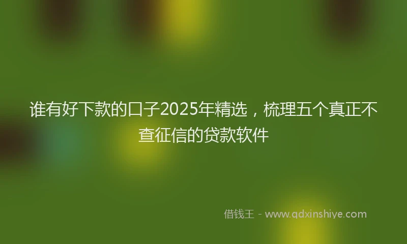 谁有好下款的口子2025年精选，梳理五个真正不查征信的贷款软件
