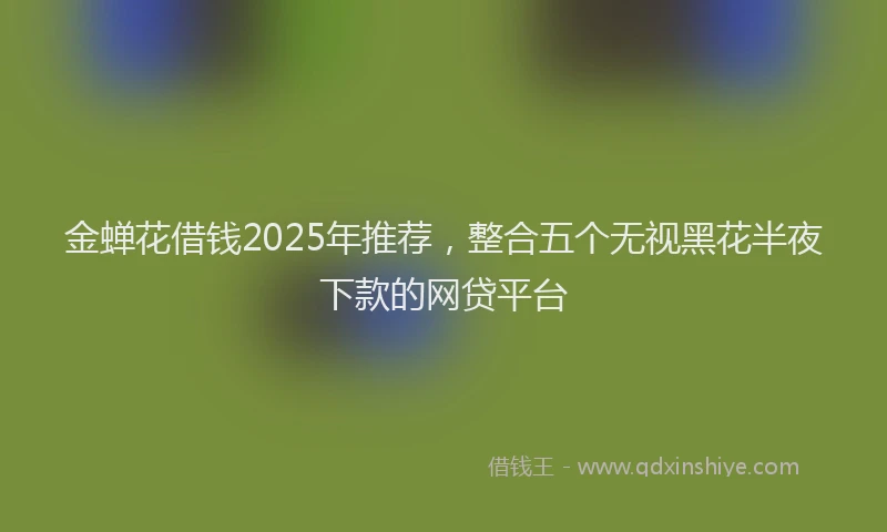 金蝉花借钱2025年推荐，整合五个无视黑花半夜下款的网贷平台