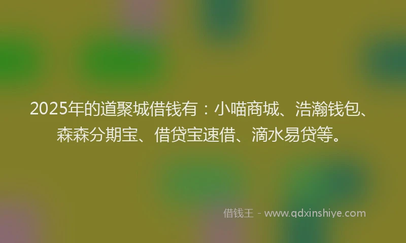2025年的道聚城借钱有：小喵商城、浩瀚钱包、森森分期宝、借贷宝速借、滴水易贷等。
