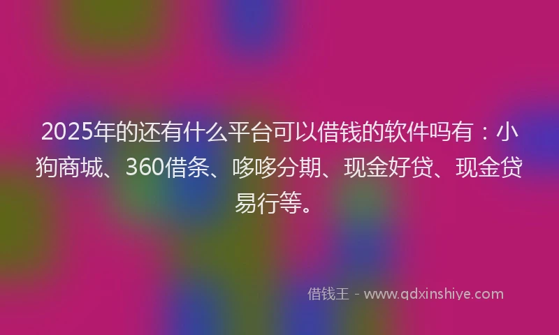 2025年的还有什么平台可以借钱的软件吗有：小狗商城、360借条、哆哆分期、现金好贷、现金贷易行等。