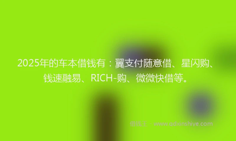2025年的车本借钱有：翼支付随意借、星闪购、钱速融易、RICH-购、微微快借等。